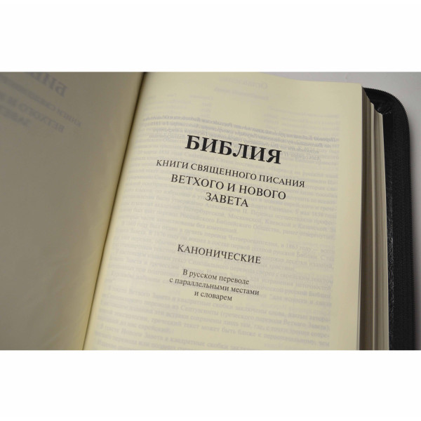 Библия, синодальный пер., натуральная кожа, черная, застежка, индексы, золотой срез, 17x24 см