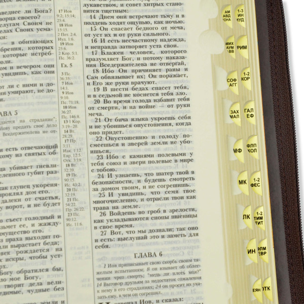 Біблія, синодальний перекл., коричнева, з позолотою, застібка