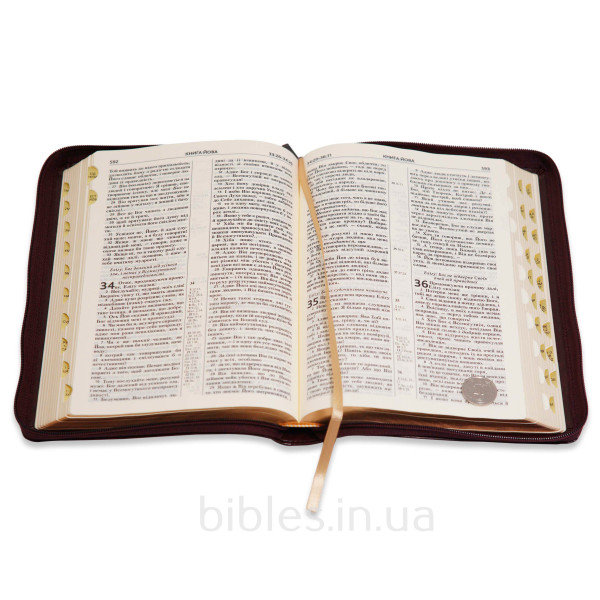 Біблія, сучасний переклад, бордо, 17x24 см
