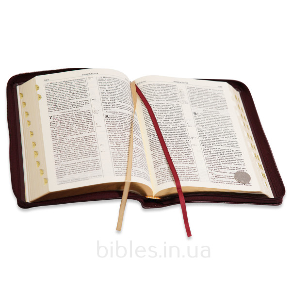 Біблія шкіряна, бордо, застібка, 17х24 см
