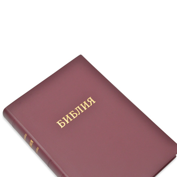Біблія, синодальний перекл., червона, вініл, індекси, золотий зріз, 14.5x20.5 см