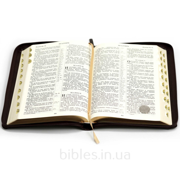 Библия, синодальный пер., коричневая, позолота, застежка, индексы, золотой срез, 17x24 см