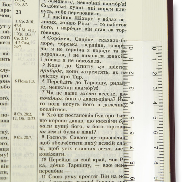 Библия Огиенко, винил, красного с позолотой, золотой срез, индексы, 17×24 см.